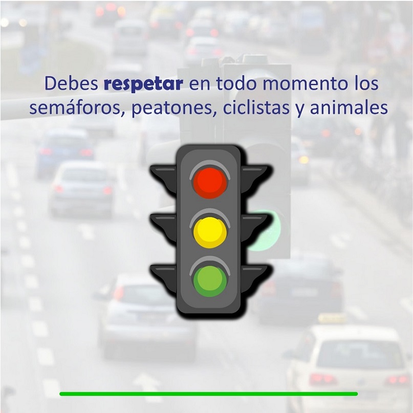 consejo3