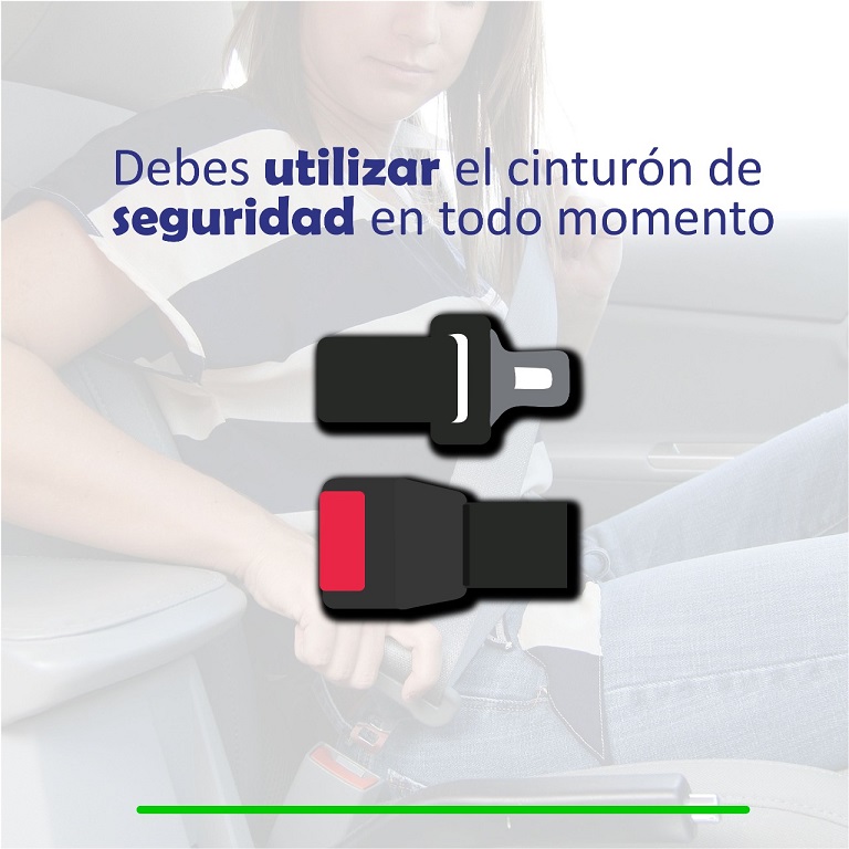 consejo6