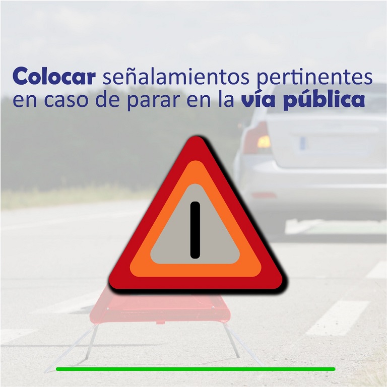 consejo7